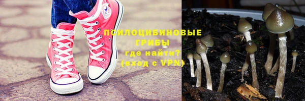 герыч Алексин