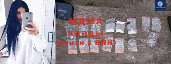 прущие грибы Инта